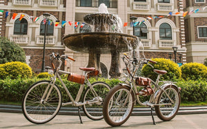 DKY Ebikes-Vintage Electric Bike City Bike 